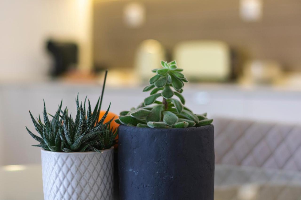 Casas Da Oliveira Apartment เซตุบาล ภายนอก รูปภาพ